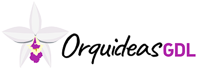 Orquideas Guadalajara